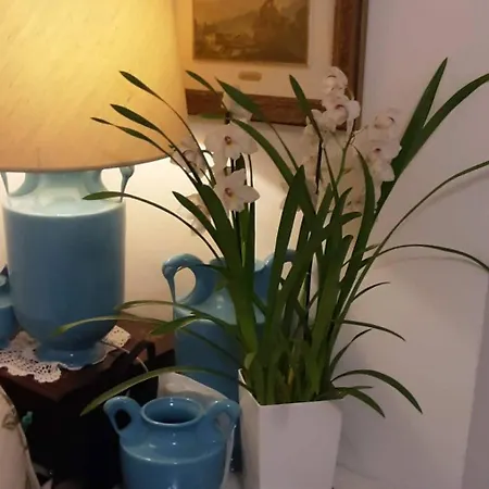 לינה וארוחת בוקר Tosca House 2 4*