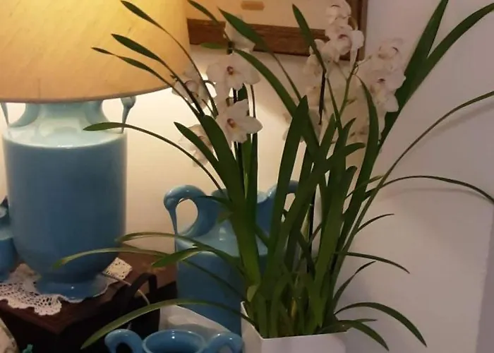 Oda ve Kahvaltı Tosca House 2 4*